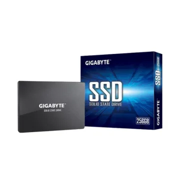 Gigabyte SSD 256GB GSTFS31256GTND G12